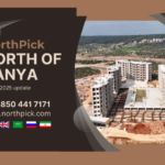 North of Tanya Project – Construction Update (February 4, 2025)