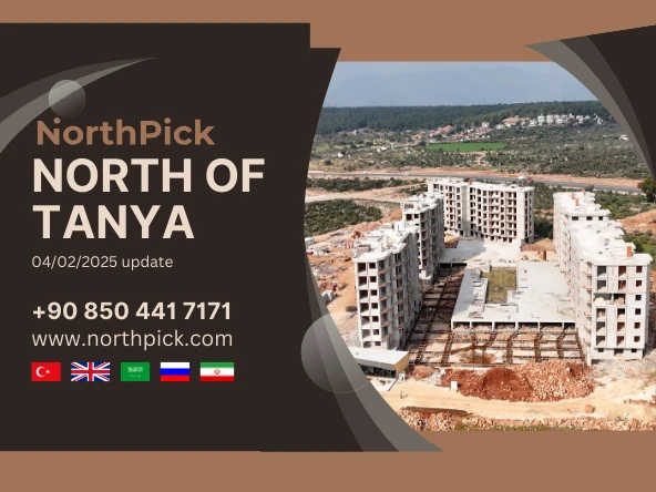 North of Tanya Project – Construction Update (February 4, 2025)